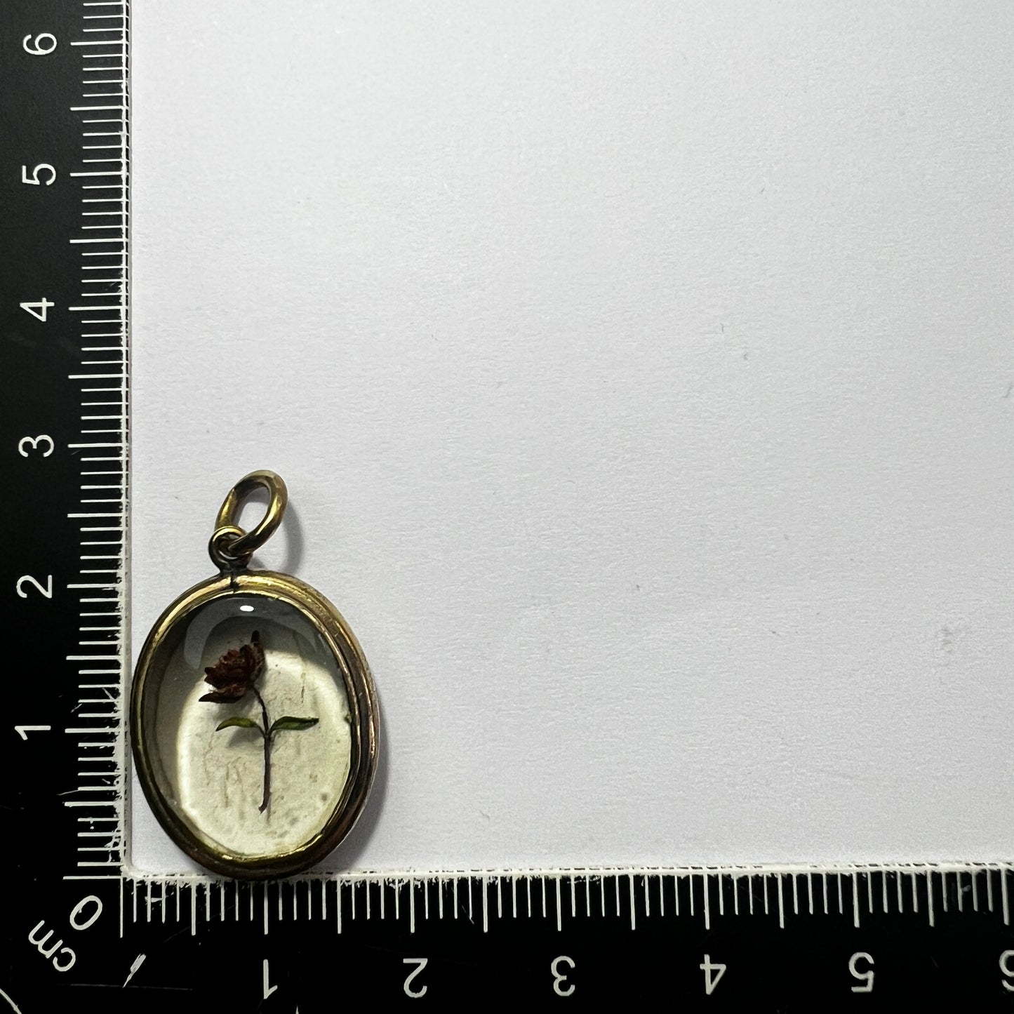 Victorian Locket Pendant with Dried Flower