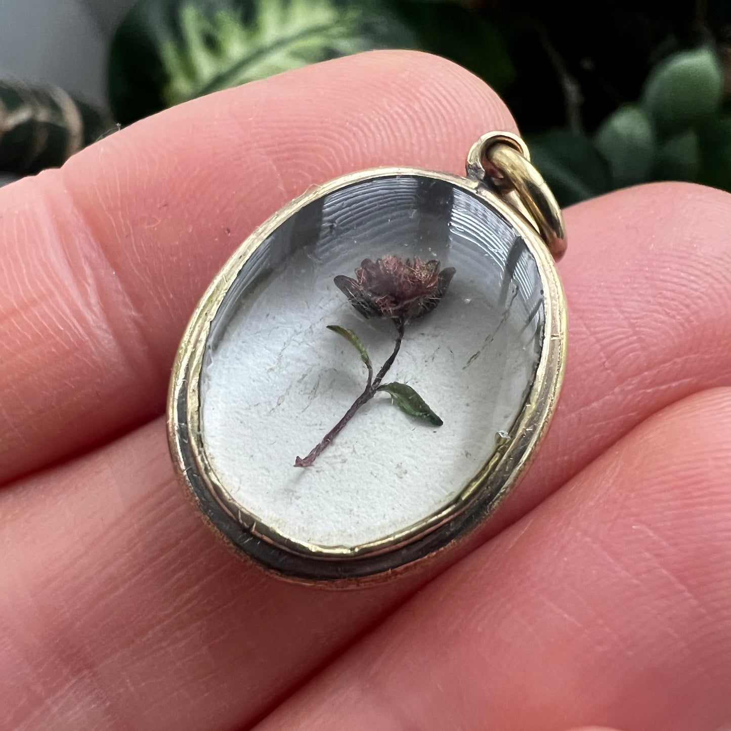 Victorian Locket Pendant with Dried Flower