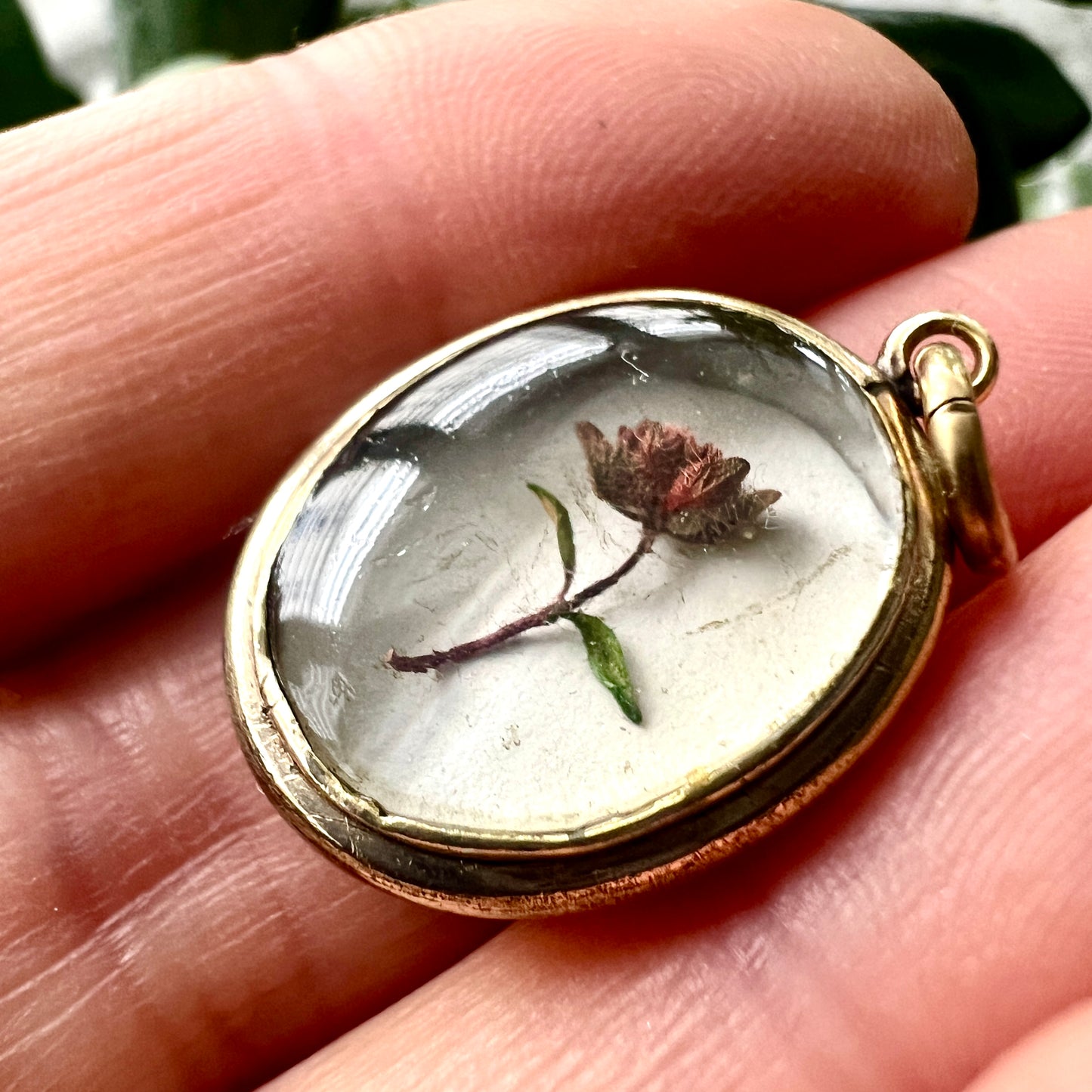 Victorian Locket Pendant with Dried Flower