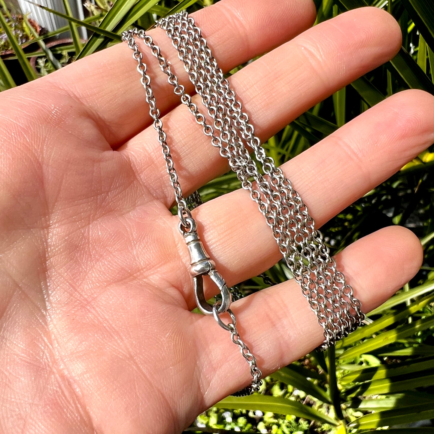 Very Long Victorian Silver Longuard Chain Necklace with Albert Dog Clip