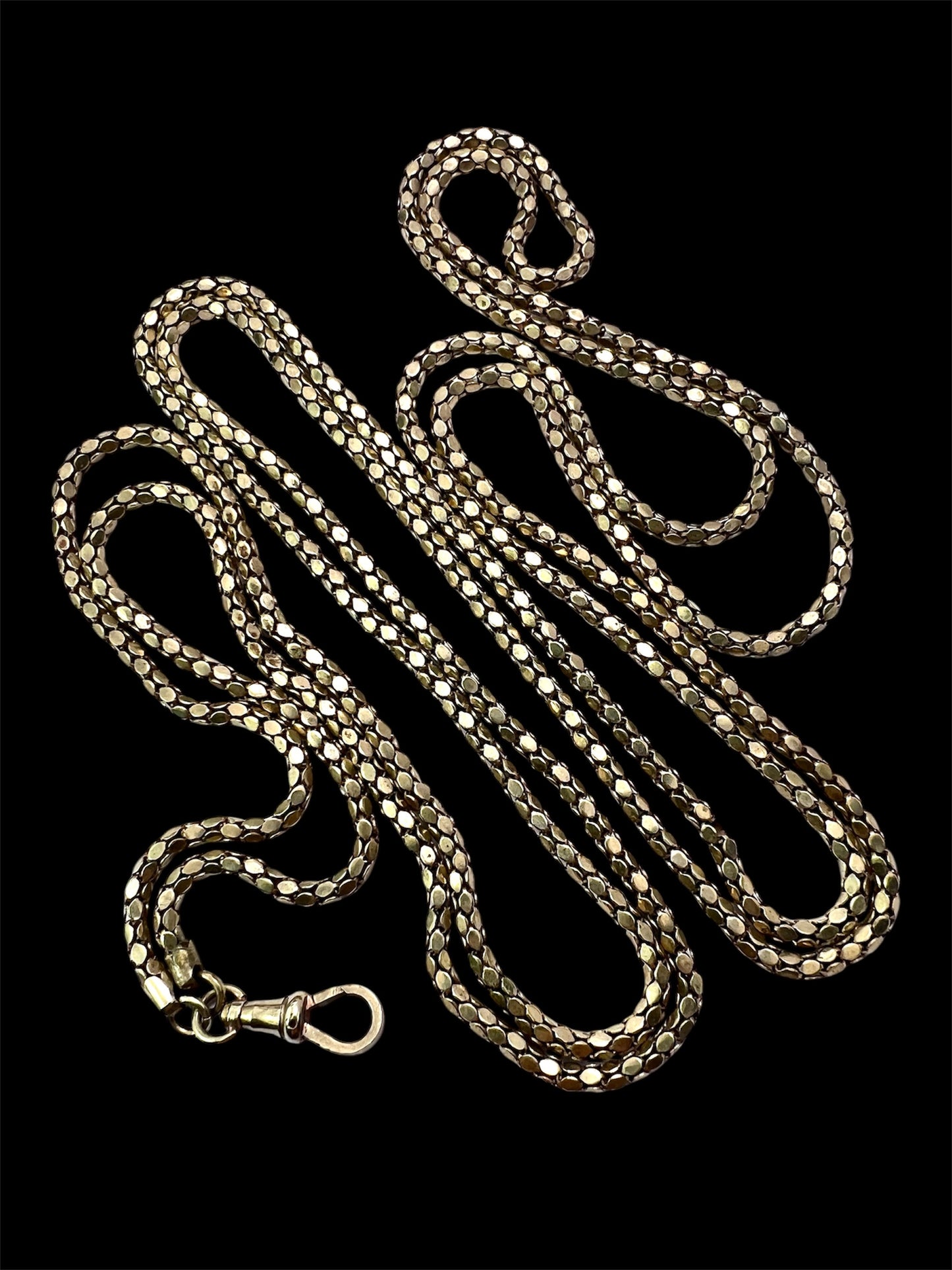 Very Long Victorian Golden Longuard Chain with Albert Clip