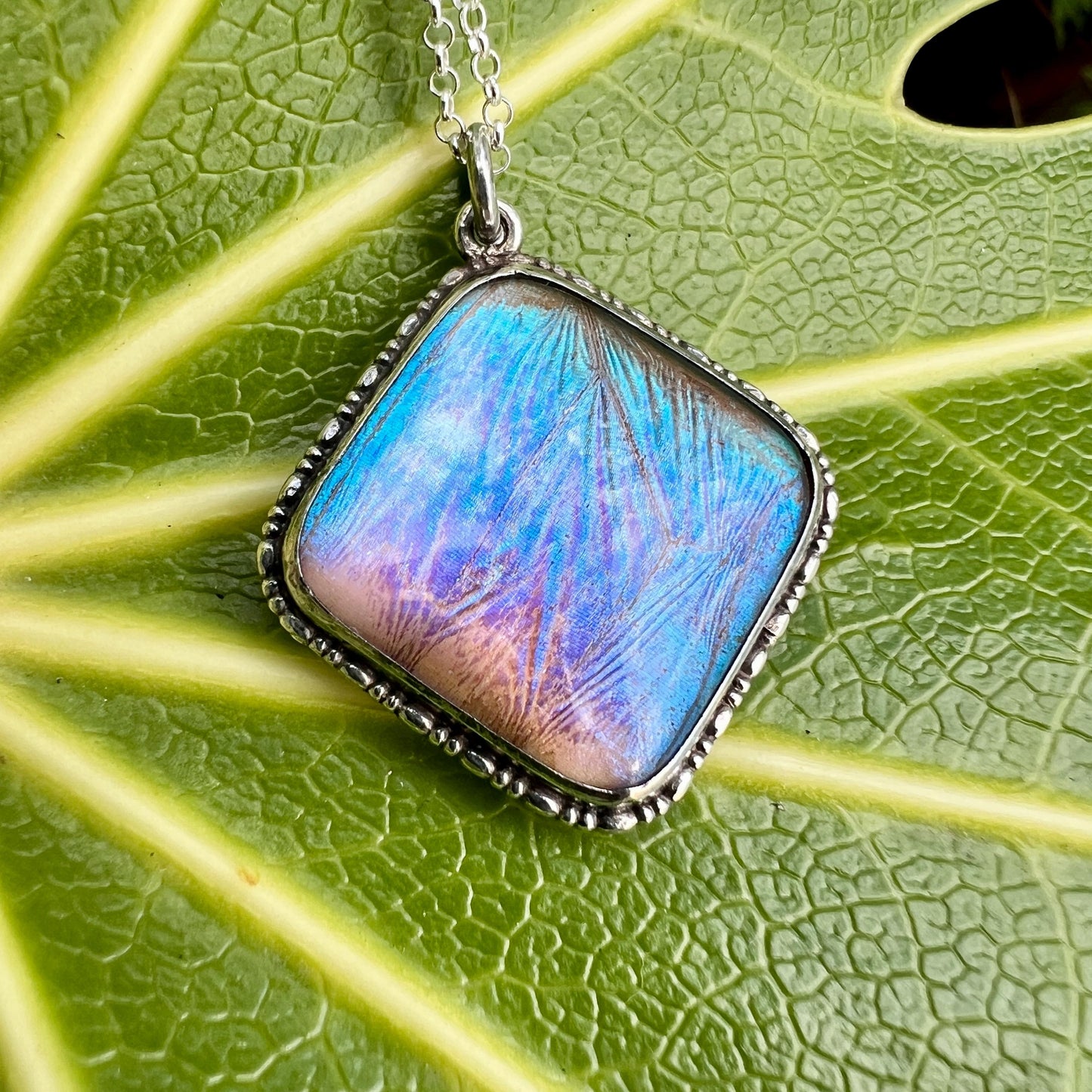 Vintage Art Deco Sterling Silver Blue Morpho Butterfly Wing Pendant Necklace