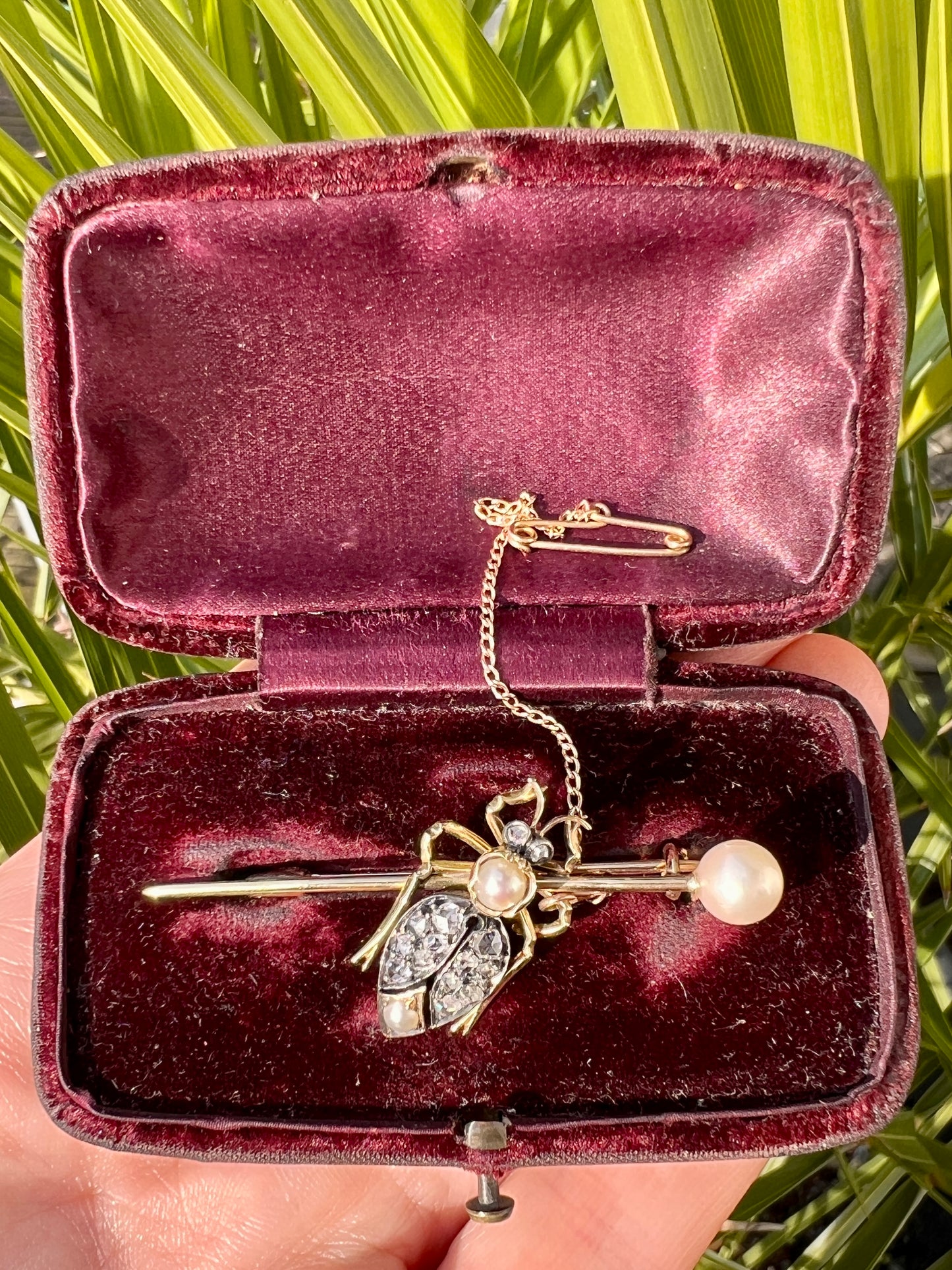Boxed Victorian Diamond and Pearl Gold Beetle Brooch