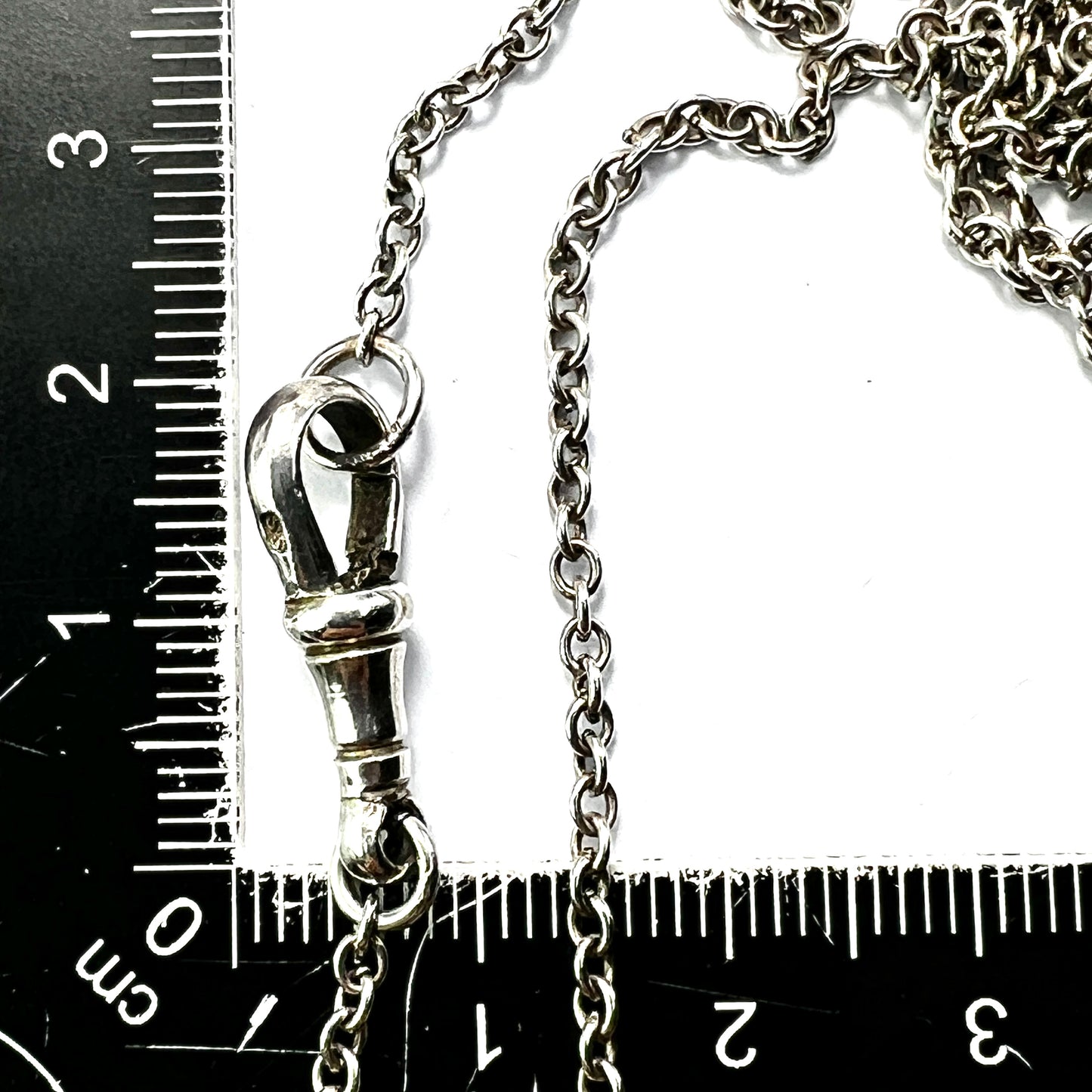 Very Long Victorian Silver Longuard Chain Necklace with Albert Dog Clip
