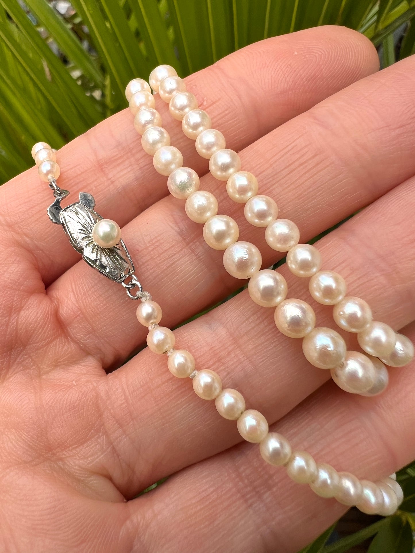 Vintage Cultured Pearl Necklace with Silver Clasp