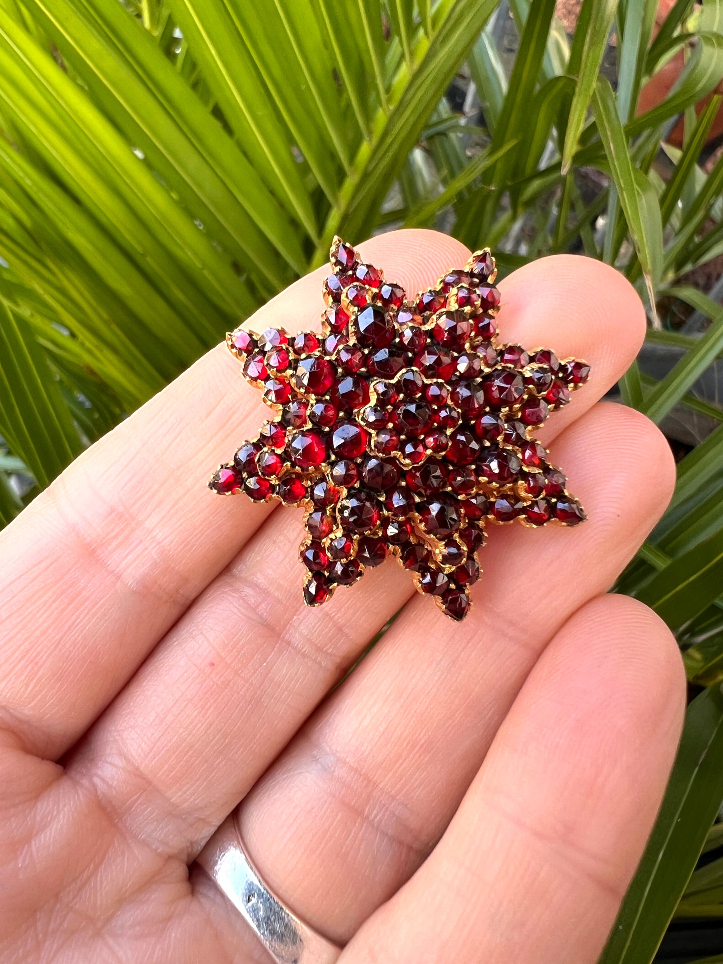 Large Victorian Rose-Cut Bohemian Garnet Star Brooch